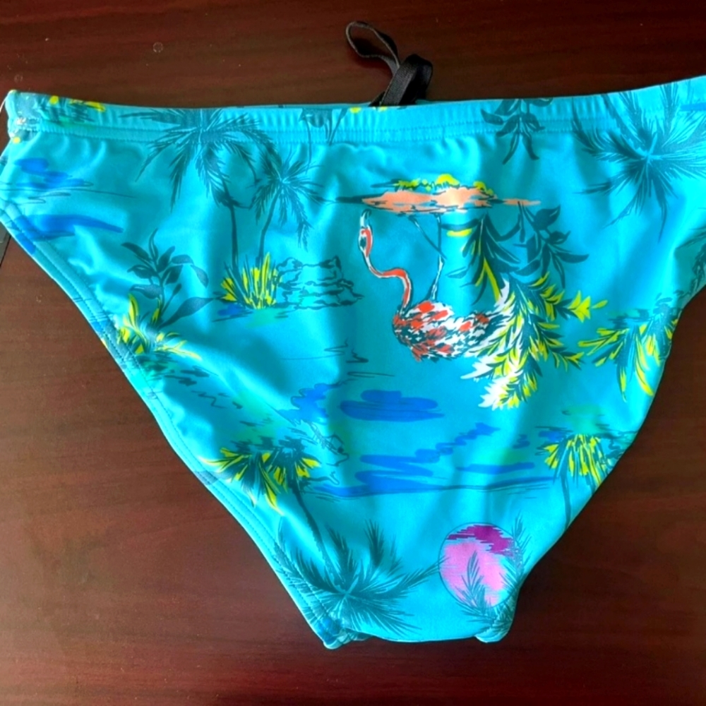 Speedo Men’s Solar Teal Blue Print - 1 inch Speedo